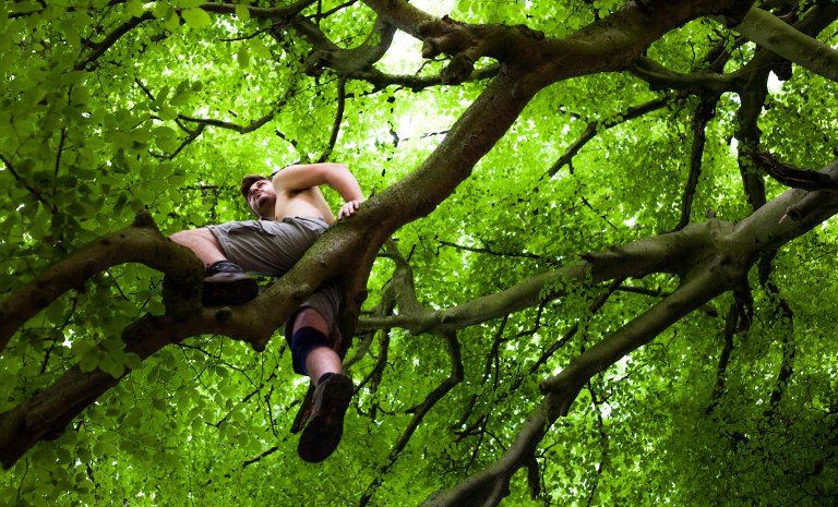 jason climbing tree 3 (1 of 1)