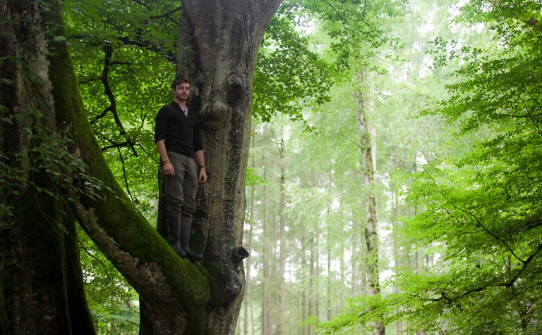 jason climbing tree 4 (1 of 1)