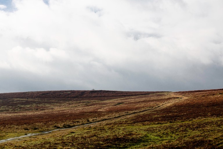 Solstice Sunrise Deer-3