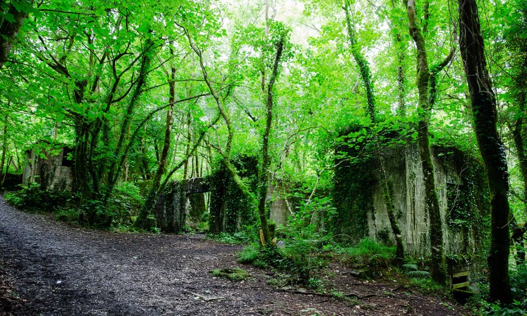 Kennall Vale Cornwall-1