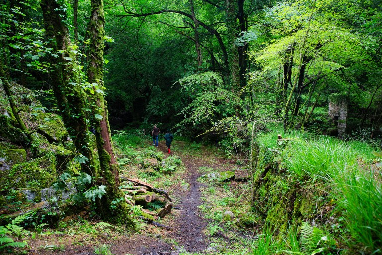Kennall Vale Cornwall-4