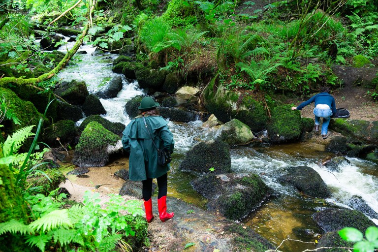 Kennall Vale Cornwall-5