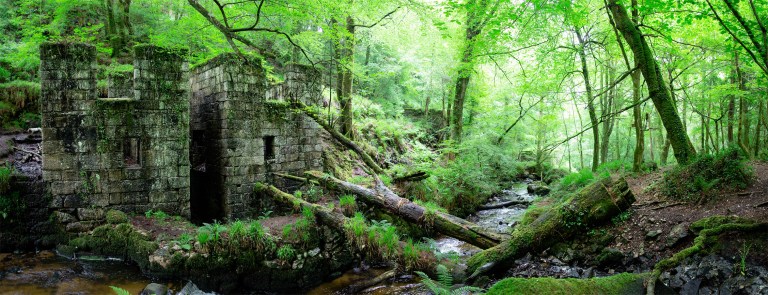 Kennall Vale Panorama