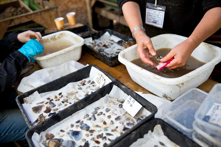 Blick Mead archaeological dig 5