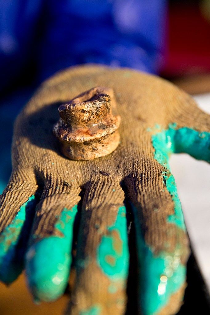 Blick Mead archaeological dig 8