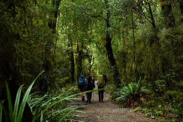 hikers, Milford Track, New Zealand Great Walks, start