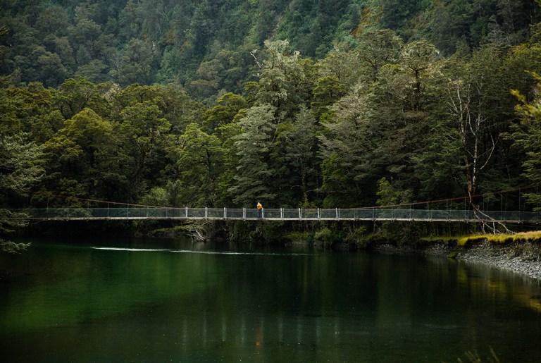 Bridge, Clinton River, Milford Track, New Zealand Great Walk, hiking