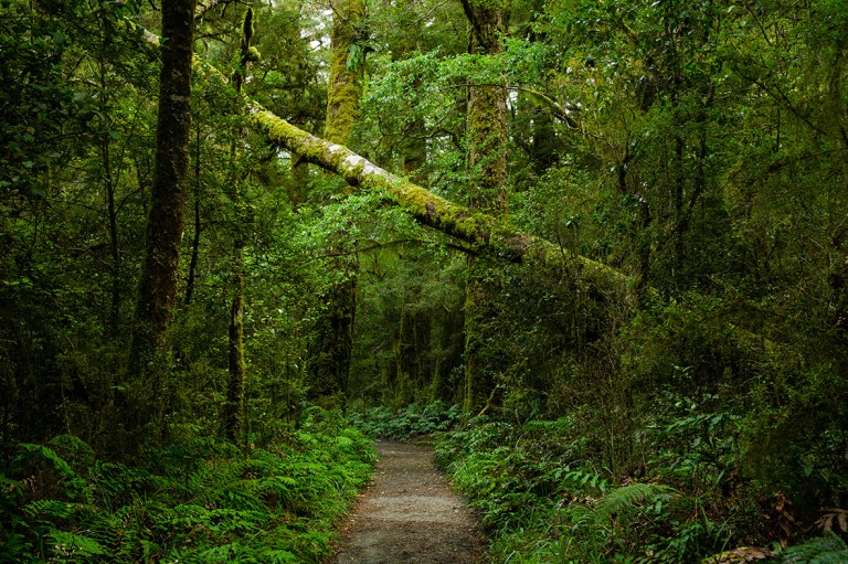 Milford sound day 1-9 LR
