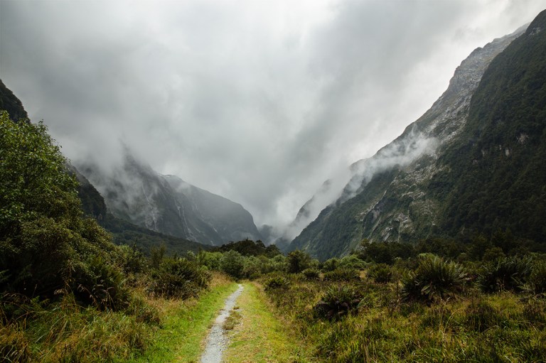 path, valley, Milford Track, New Zealand Great Walk