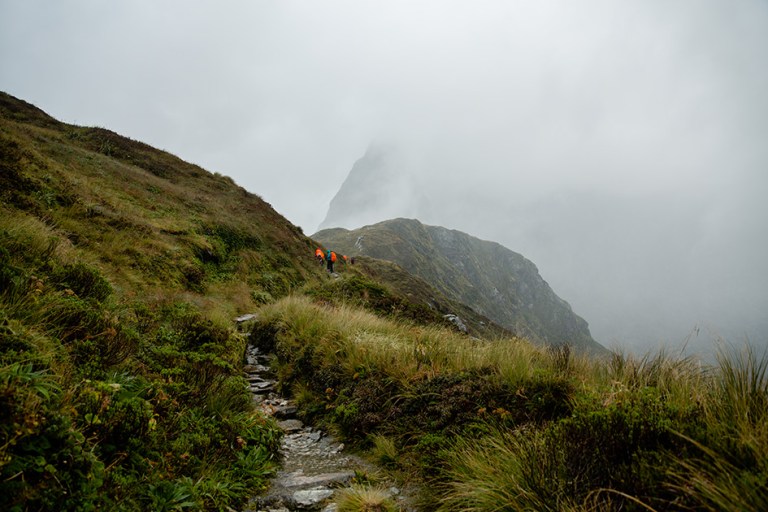 Top, Mackinnon Pass, Milford Track, New Zealand Great Walk