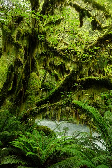 milfordtrackday2-5 LR