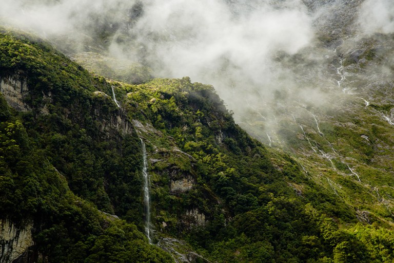 Waterfall, forest, mountain Milford Track, New Zealand Great Walk, hiking