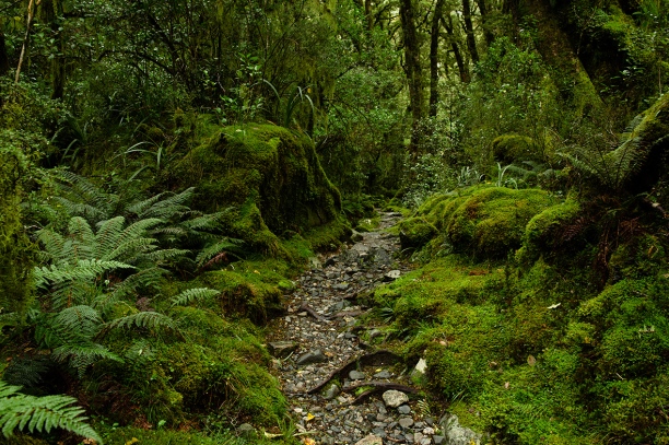 mlfd snd post 5-5 l.jpg