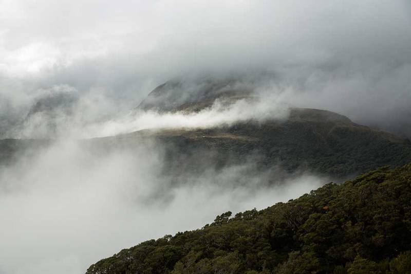routeburn track