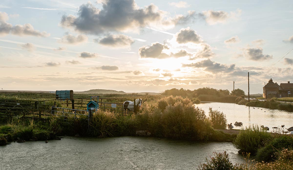 Salthouse Norfolk