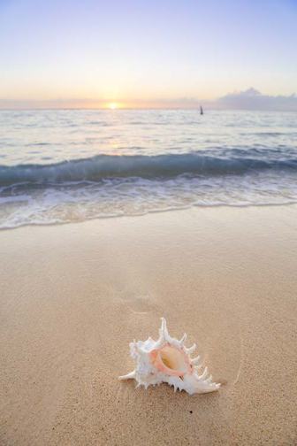 things to do in Mauritius